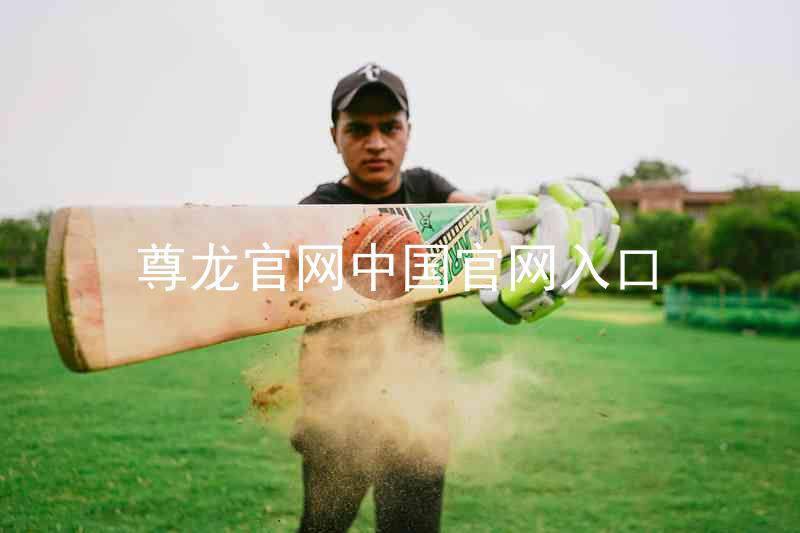 尊龙官网中国官网入口