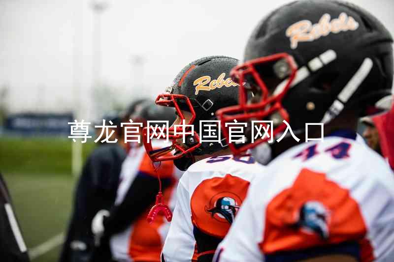 尊龙官网中国官网入口