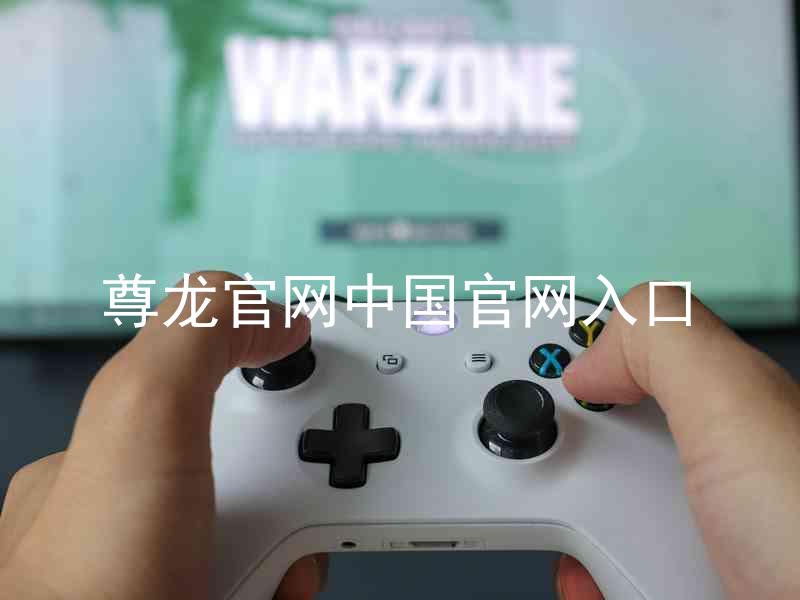 尊龙官网中国官网入口