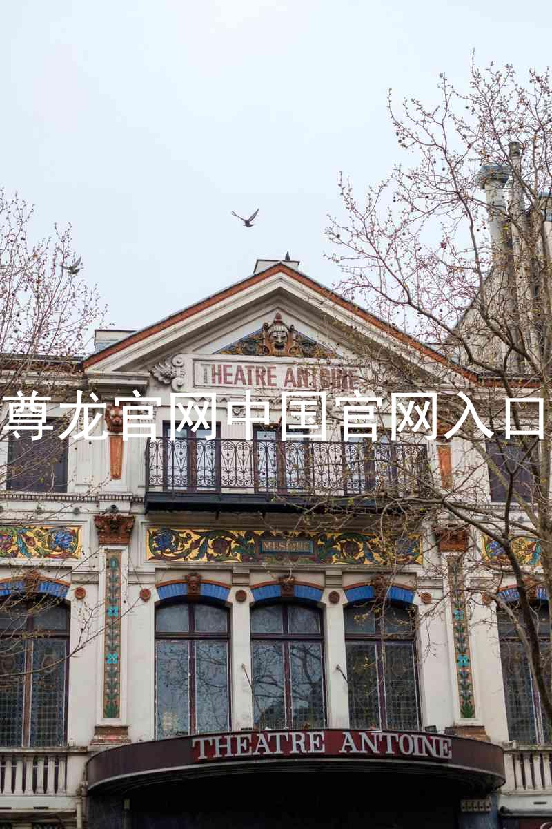 尊龙官网中国官网入口