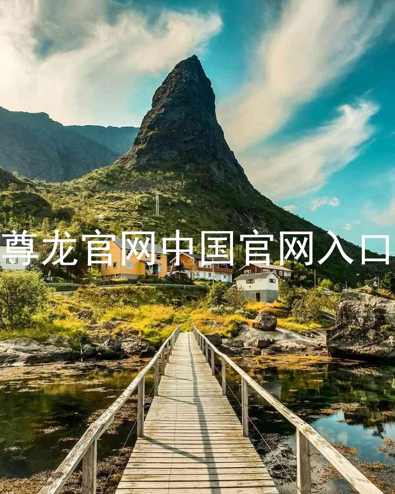 尊龙官网中国官网入口